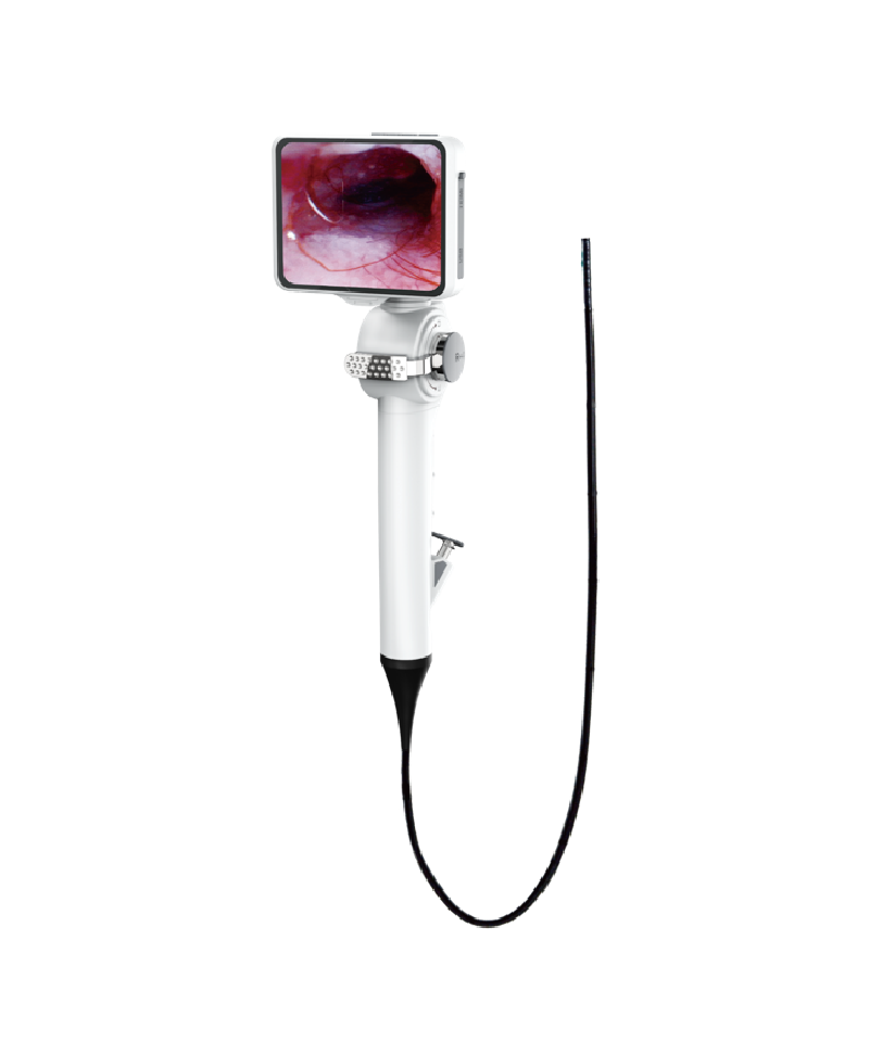 Flexible Endoscope Video Endoscope for Veterinary JHB-59V